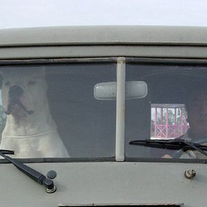 Bilder Bombón – Eine Geschichte aus Patagonien