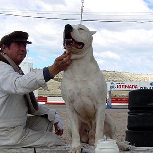 Bilder Bombón – Eine Geschichte aus Patagonien