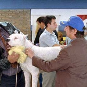 Bilder Juan Villegas