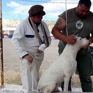 Bilder Juan Villegas