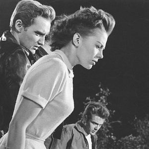 Bilder ...denn sie wissen nicht, was sie tun