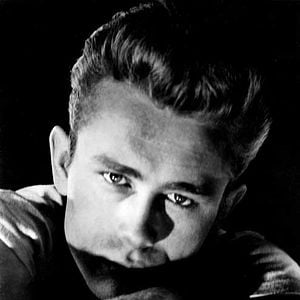 Bilder ...denn sie wissen nicht, was sie tun