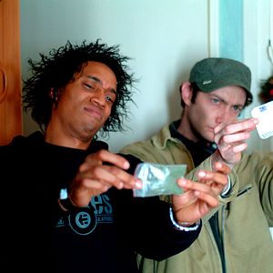 Bilder Franck Llopis