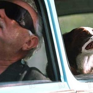 Bilder Liev Schreiber