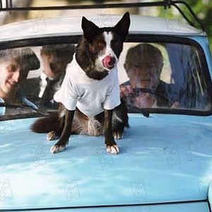 Bilder Alles ist erleuchtet