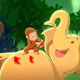 Bilder Matthew O'Callaghan