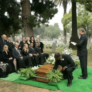 Bilder Mathew St. Patrick