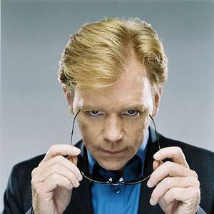 Bilder David Caruso