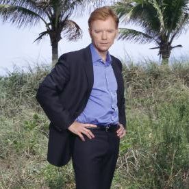 Bilder David Caruso