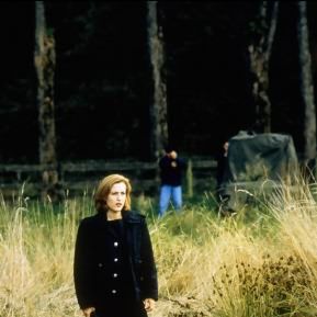 Bilder Gillian Anderson