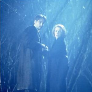 Bilder David Duchovny