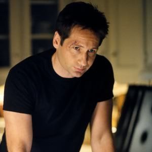 Bilder David Duchovny
