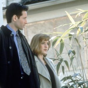 Bilder David Duchovny