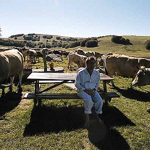 Bilder Artus de Penguern