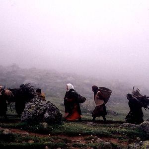 Bilder Yeşim Ustaoğlu