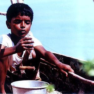 Bilder Mohammad Rasoulof