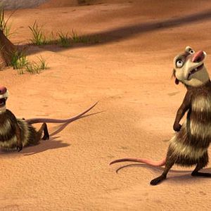 Bilder Carlos Saldanha