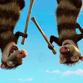 Bilder Carlos Saldanha