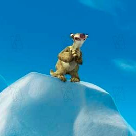 Bilder Carlos Saldanha