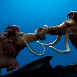 Bilder Carlos Saldanha