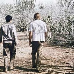 Bilder Marcelo Gomes