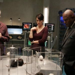 Bilder Charles S. Dutton