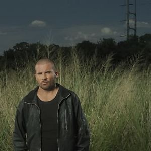 Bilder Dominic Purcell