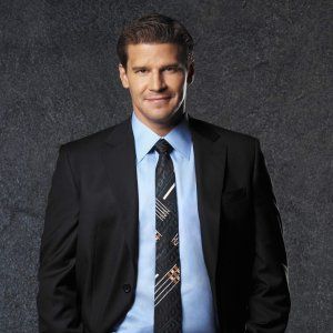 Bilder David Boreanaz