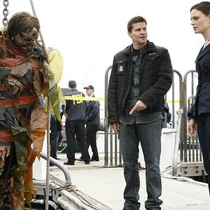 Bilder David Boreanaz