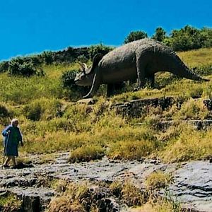 Bilder Der Himmel dreht sich