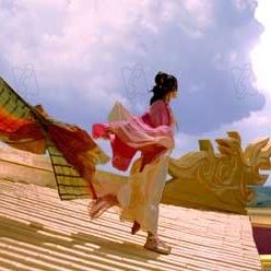 Bilder Cecilia Cheung