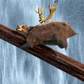 Bilder Anthony Stacchi