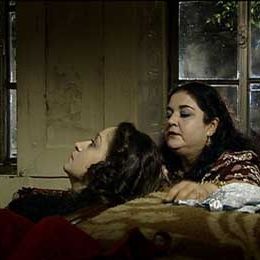 Bilder Mohamed Malas