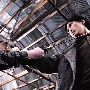 Bilder Fighter in the wind