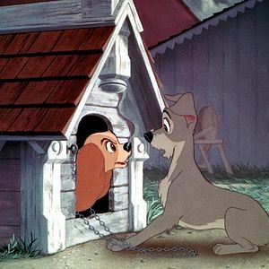 Bilder Wilfred Jackson