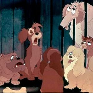 Bilder Hamilton Luske