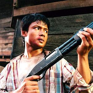 Bilder Born to Fight