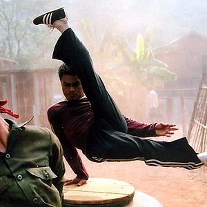 Bilder Born to Fight