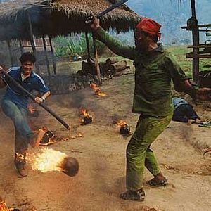 Bilder Born to Fight