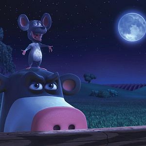 Bilder Steve Oedekerk