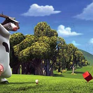 Bilder Steve Oedekerk