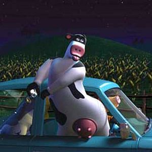 Bilder Steve Oedekerk