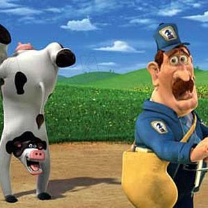 Bilder Steve Oedekerk