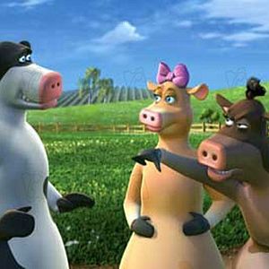 Bilder Steve Oedekerk