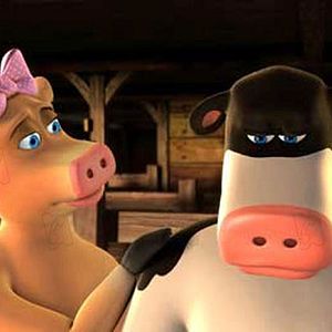 Bilder Steve Oedekerk