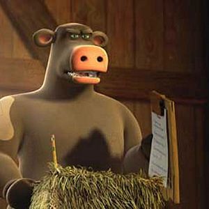 Bilder Steve Oedekerk