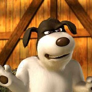 Bilder Steve Oedekerk