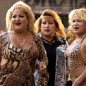 Bilder 20 Centimeters