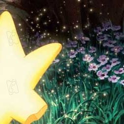 Bilder Piet De Rycker