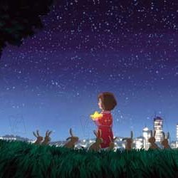 Bilder Piet De Rycker